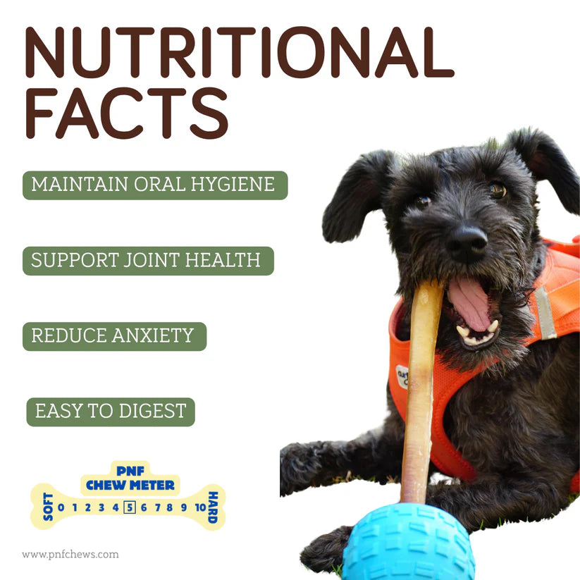 6" bully stick standard