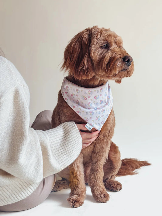 petals & polkas dog bandana