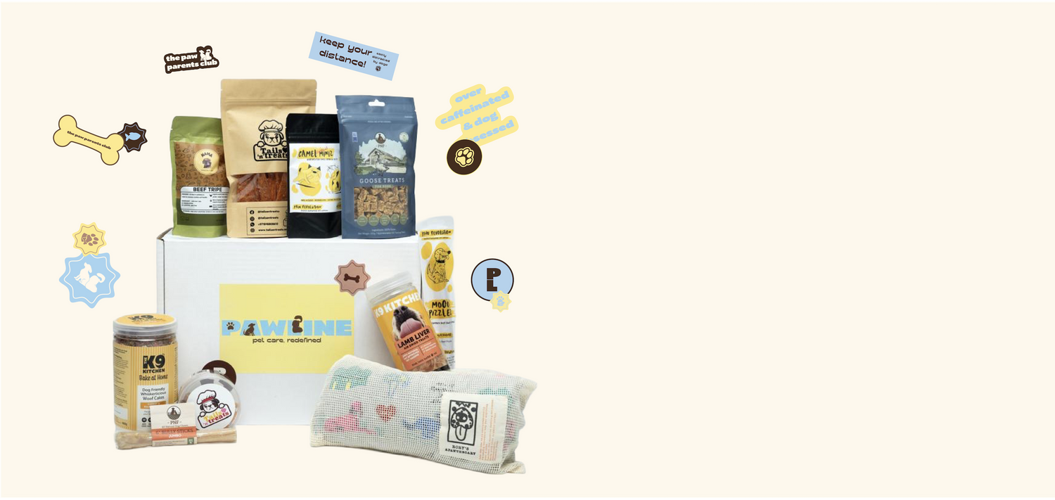 curated boxes