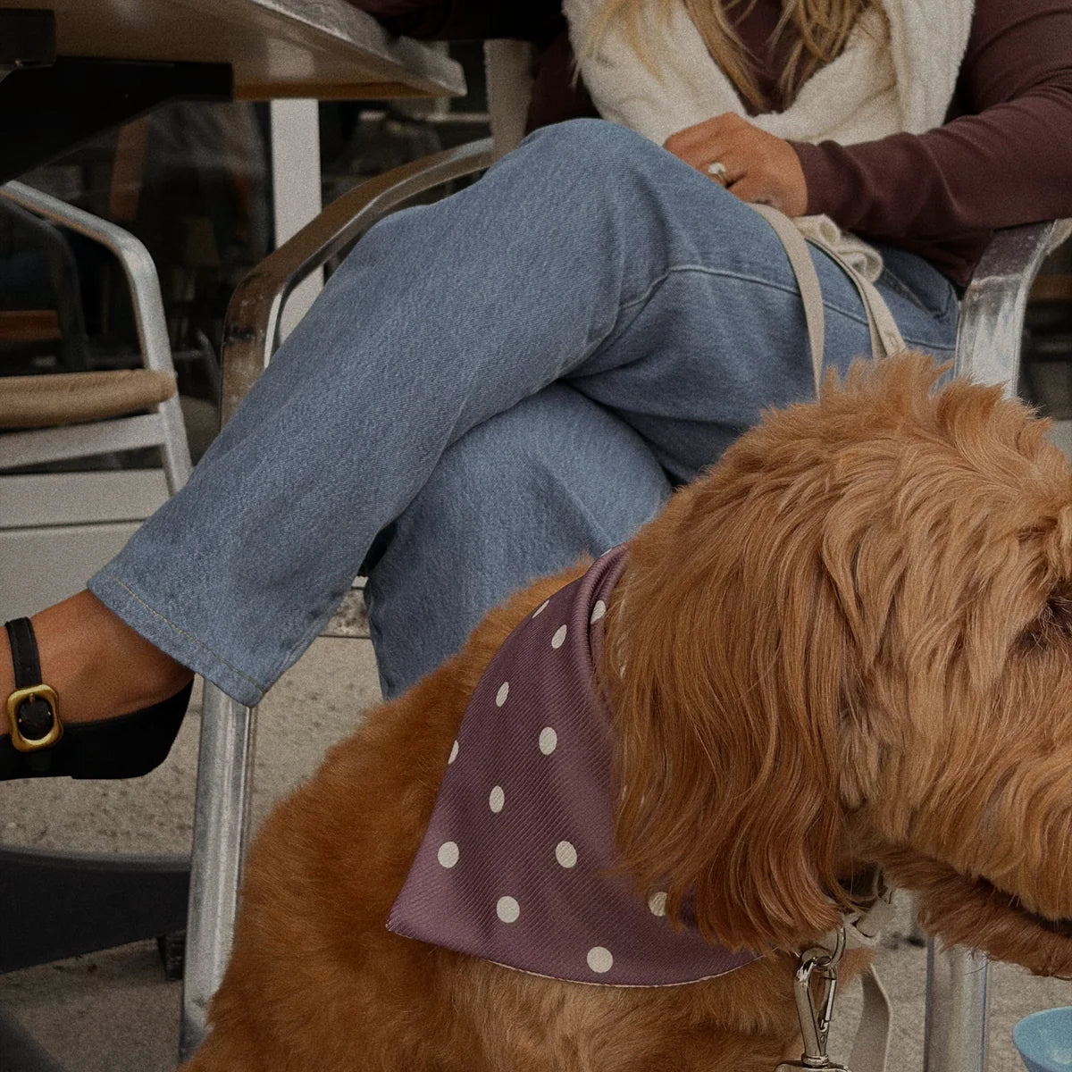 Coffee Club Ribbed Dog Bandana