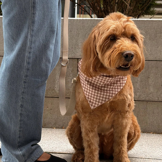 The Margot Ribbed Dog Bandana