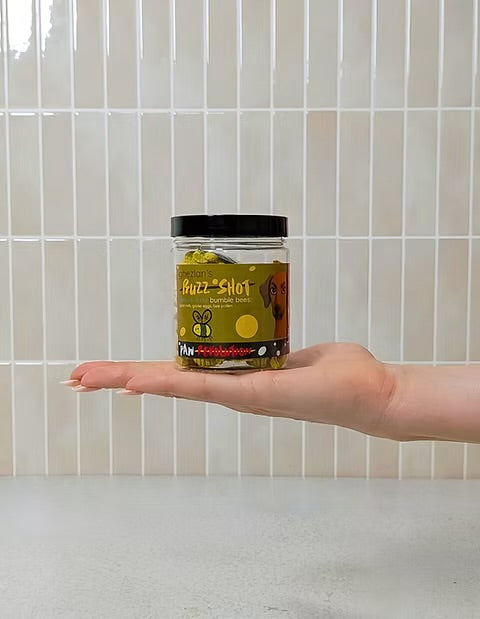 Freeze Dried Goat Milk Bumble Bees