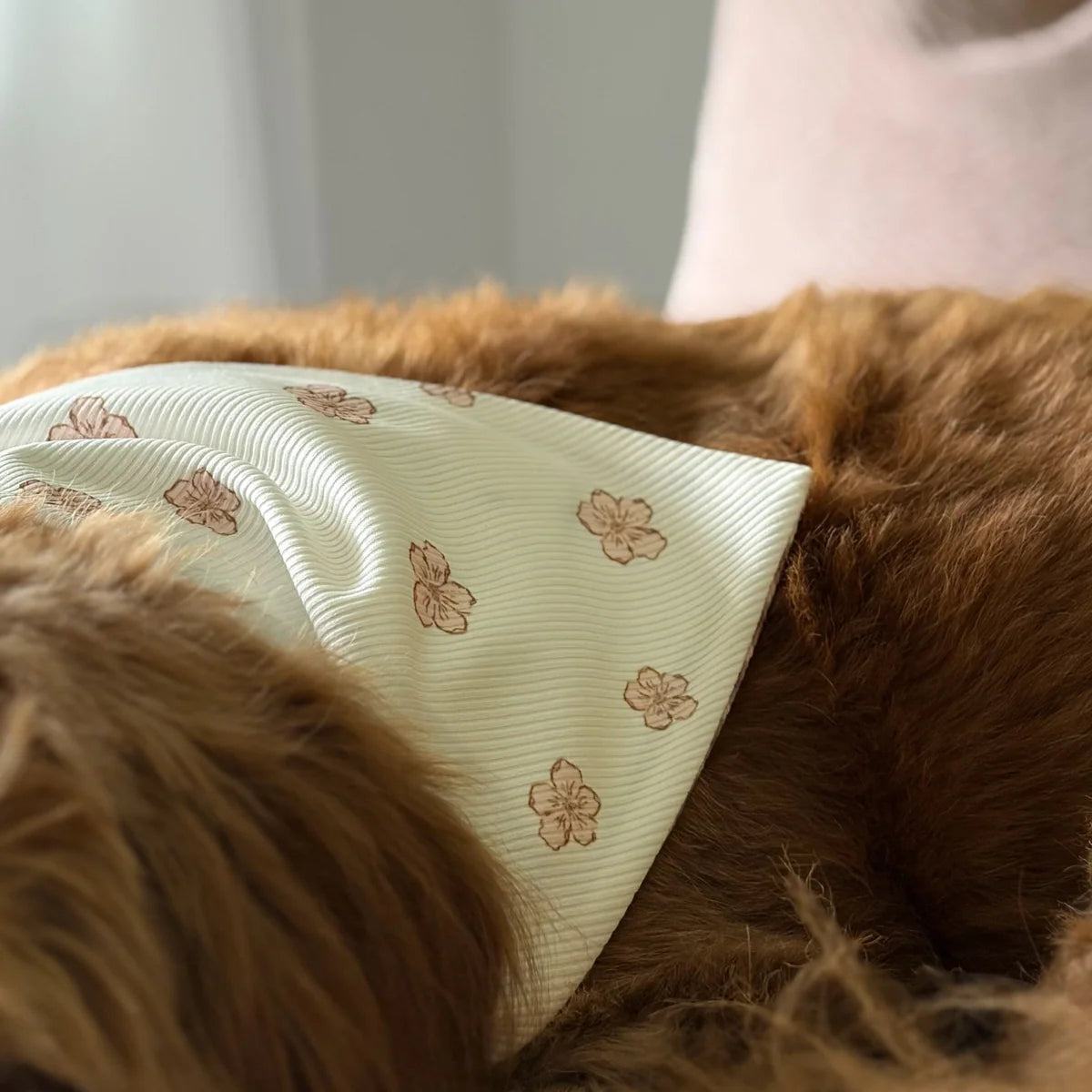 The Margot Ribbed Dog Bandana