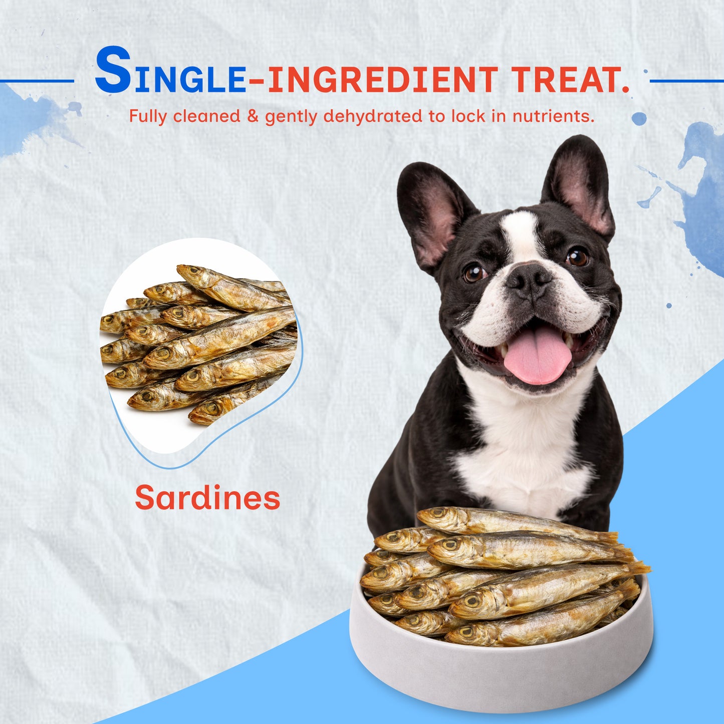 dehydrated sardines