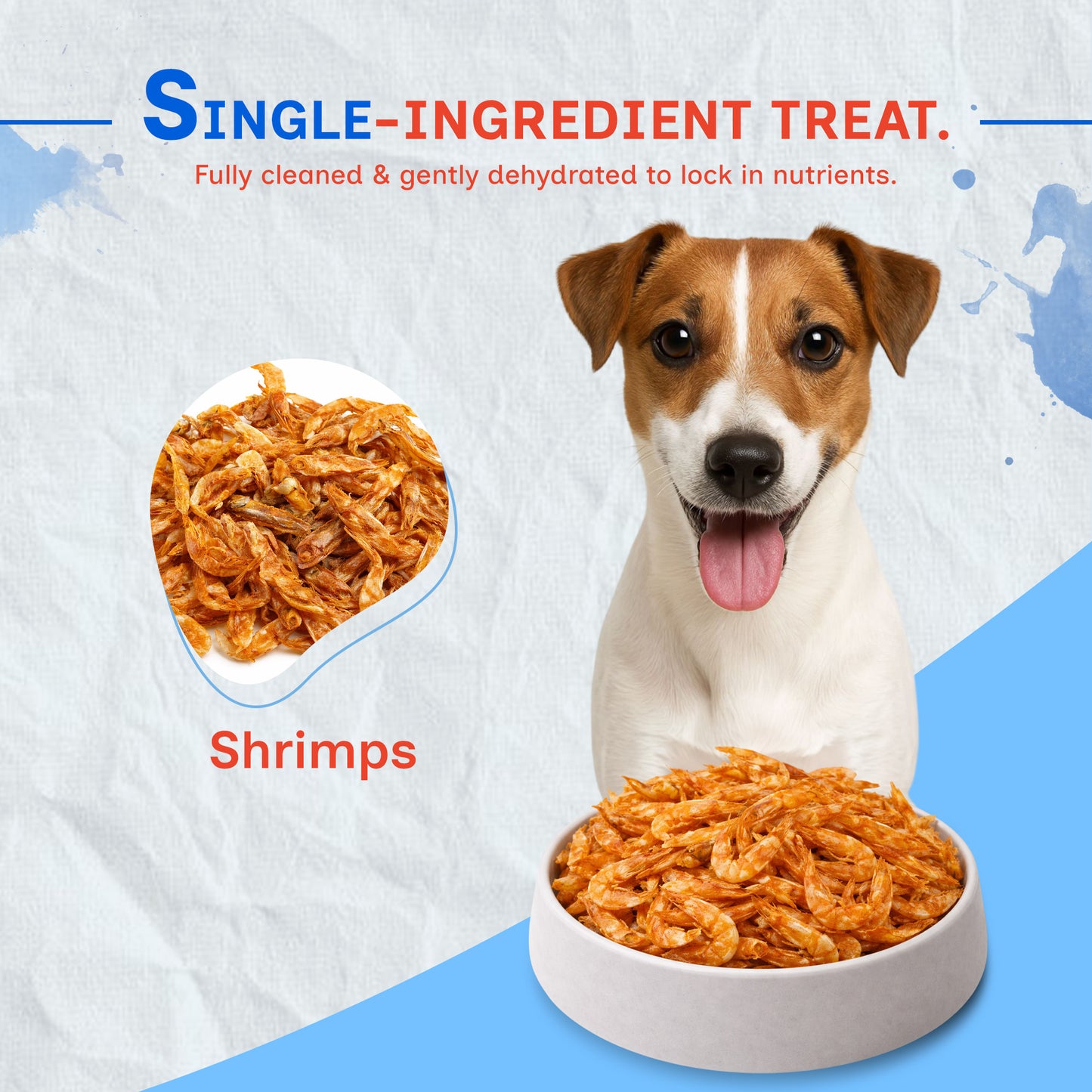 dehydrated shrimps