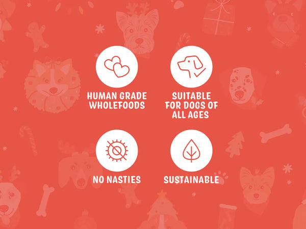 gingerbread biscuits for dogs (christmas edition)