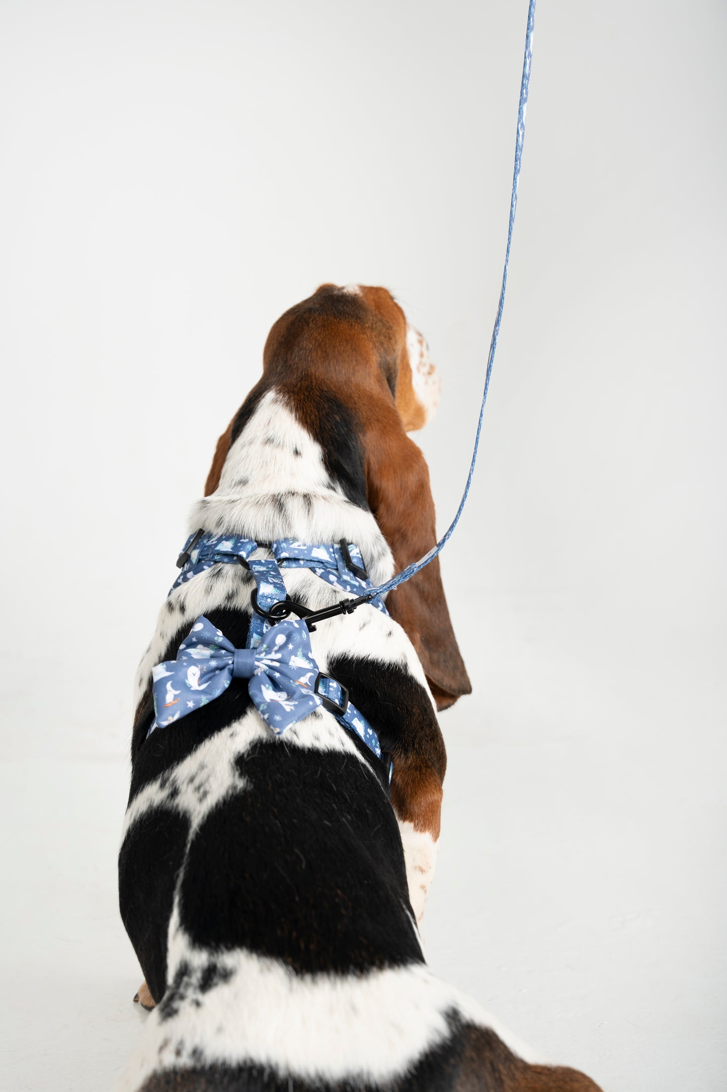 frost & fur sailor bow