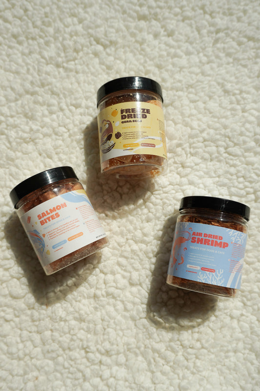 freeze dried salmon bites