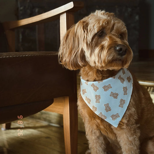 The Theodore Dog Bandana
