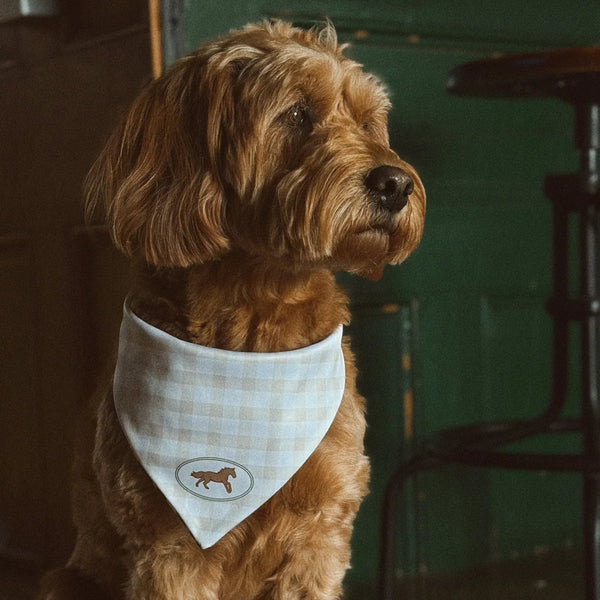 The Windsor Dog Bandana