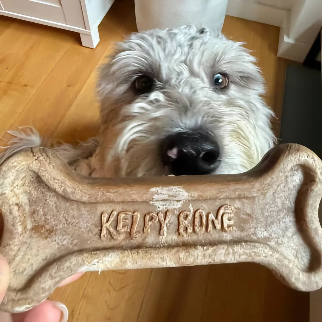 THE KELPY BONE