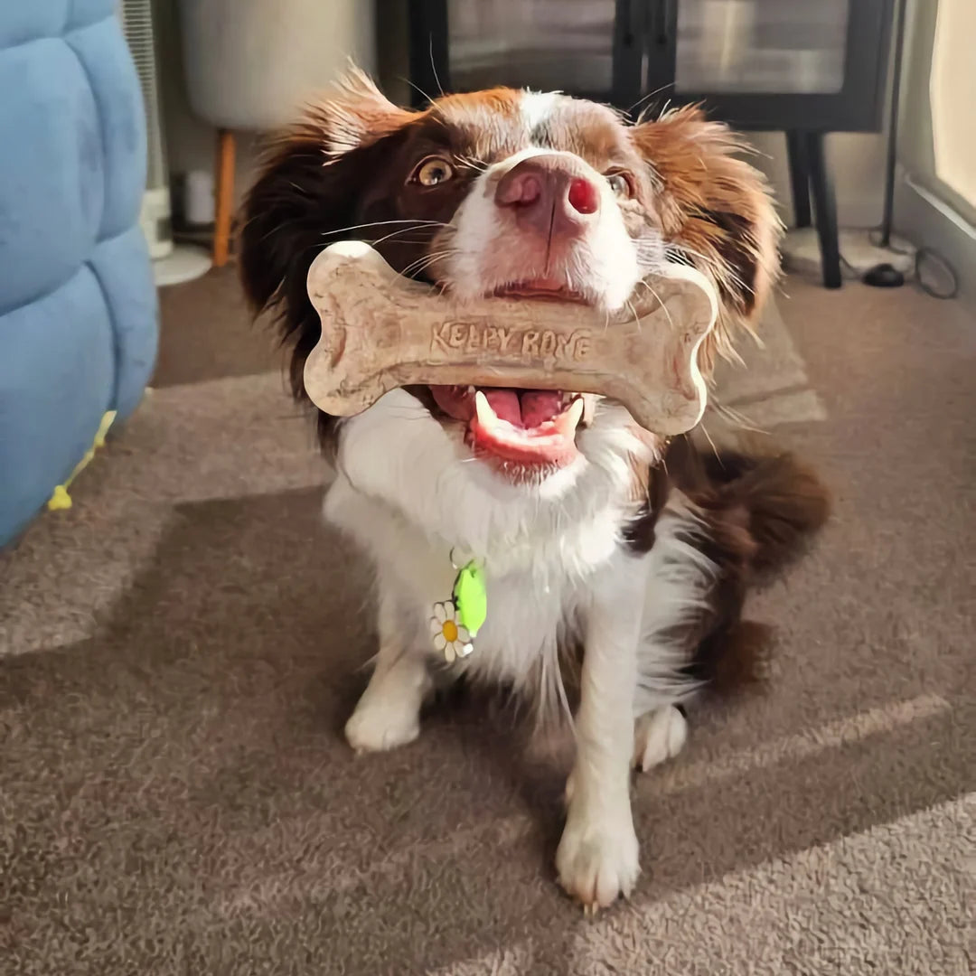 THE KELPY BONE