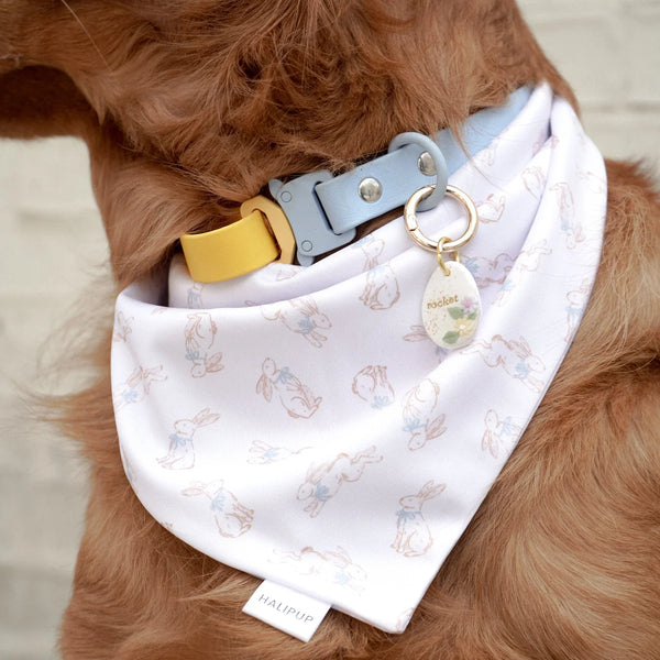 spring picnic dog bandana