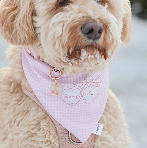 dump him dog bandana