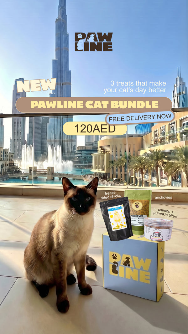 The Cat Bundle