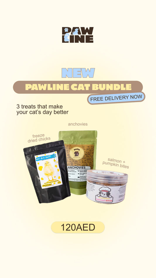 The Cat Bundle