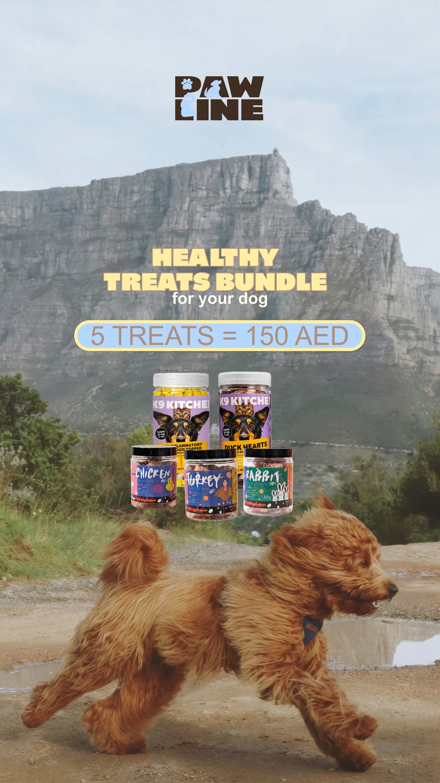 The Dog Bundle