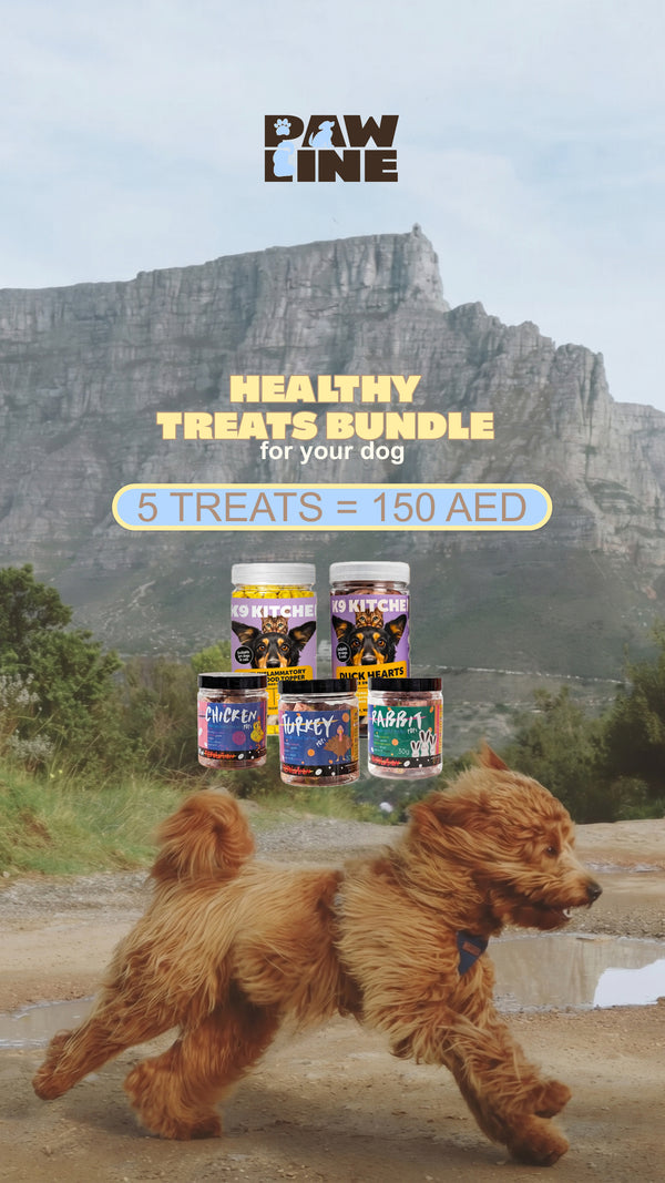 The Dog Bundle
