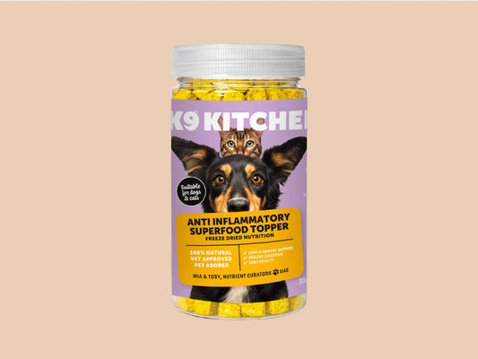 anti-inflammatory superfood topper