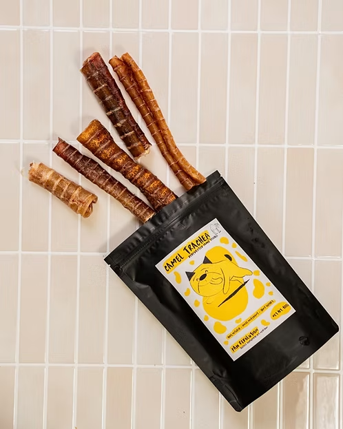 camel trachea