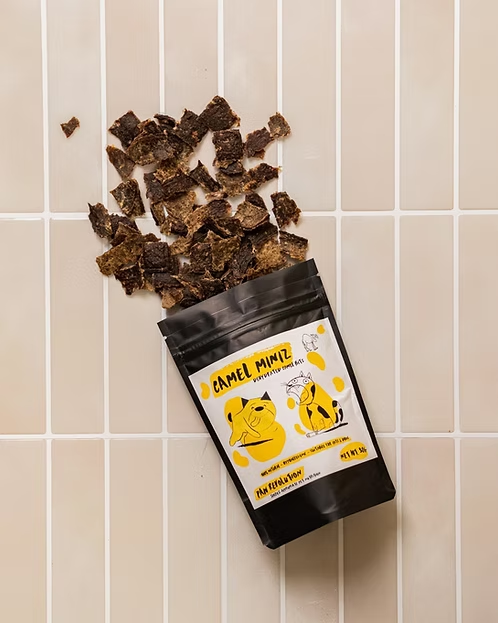 camel training treats